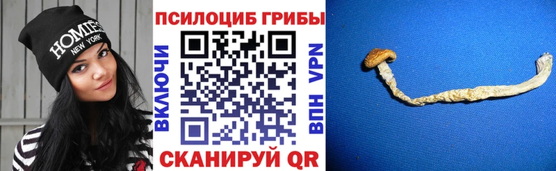 Галлюциногенные грибы прущие грибы  Долинск 
